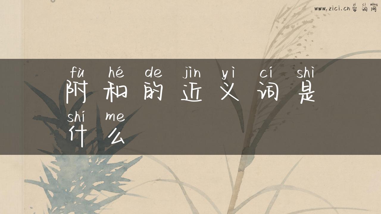 附和的近义词是什么