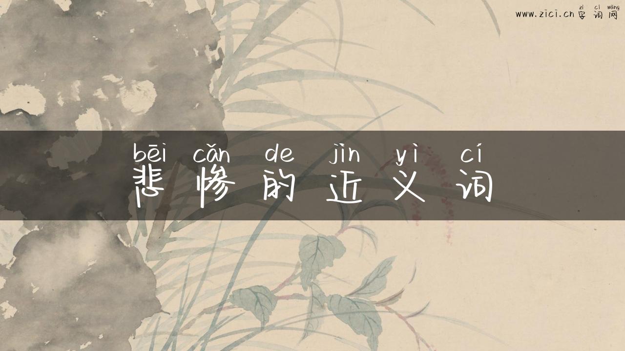 悲惨的近义词