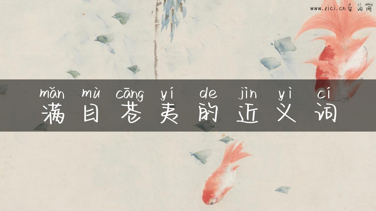 满目苍夷的近义词