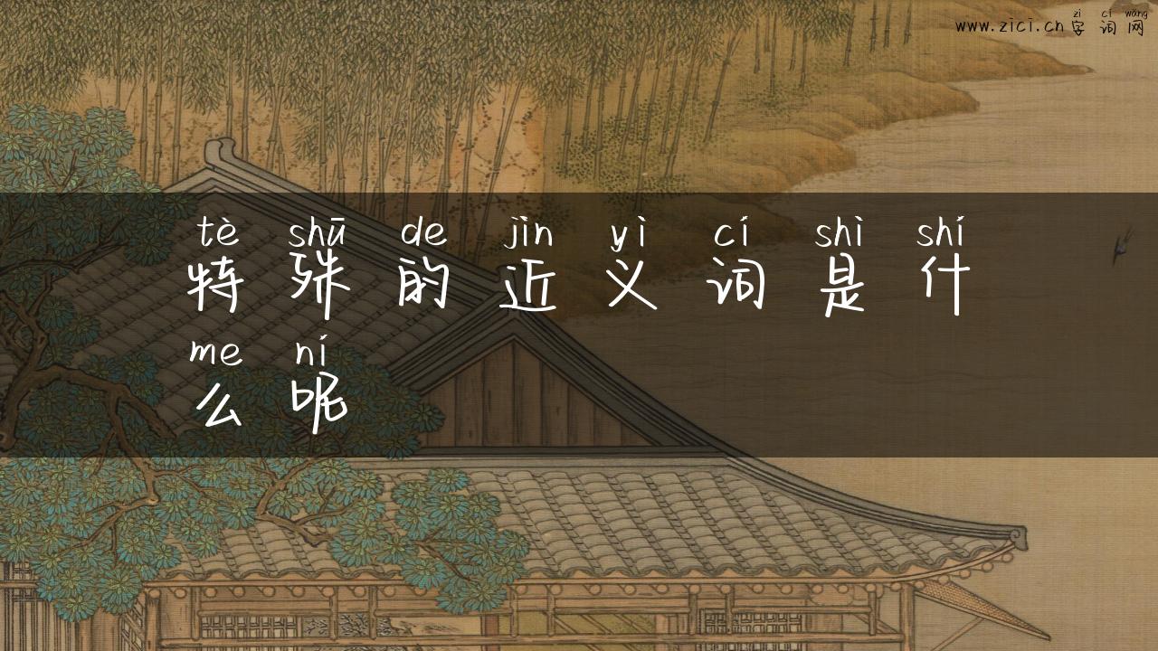 特殊的近义词是什么呢