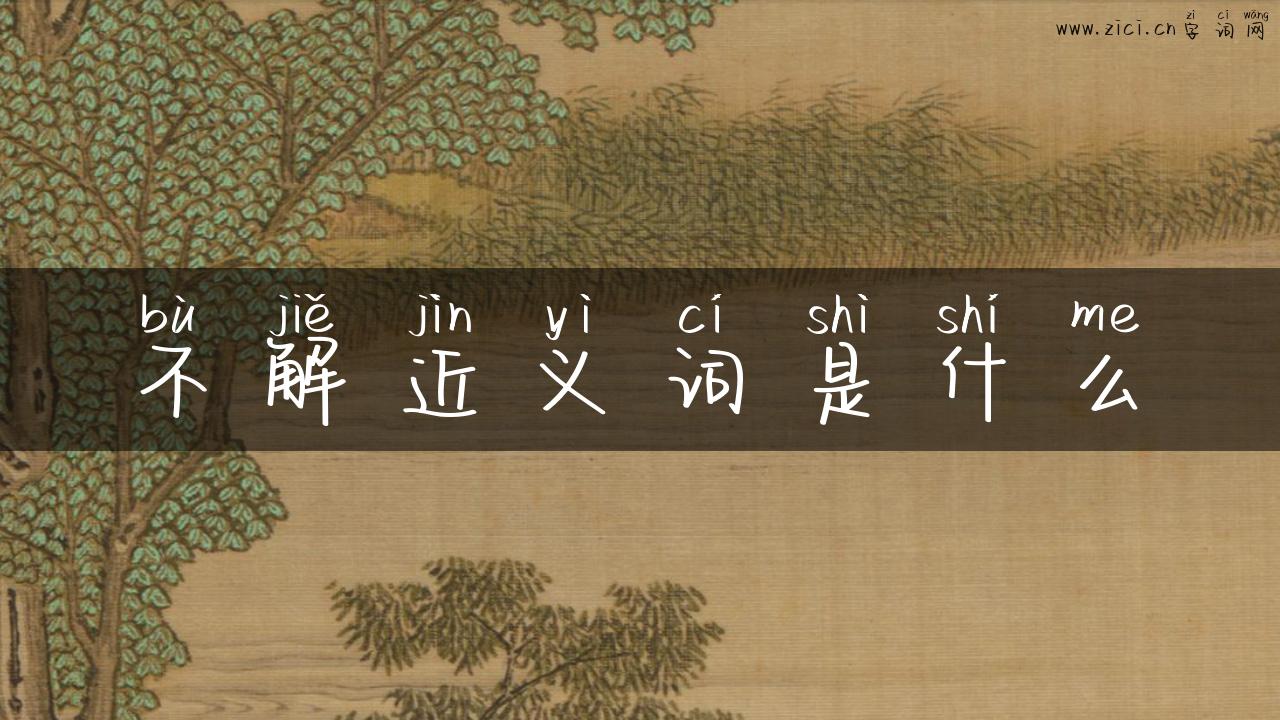 不解近义词是什么