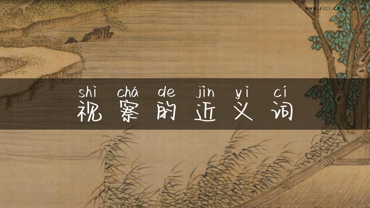 视察的近义词