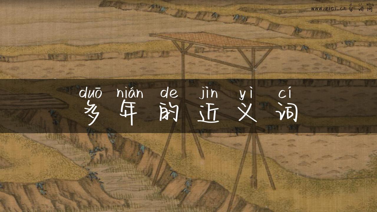 多年的近义词
