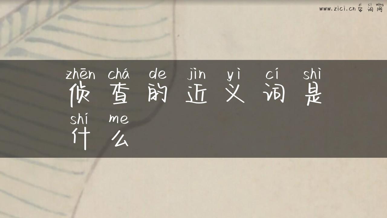 侦查的近义词是什么