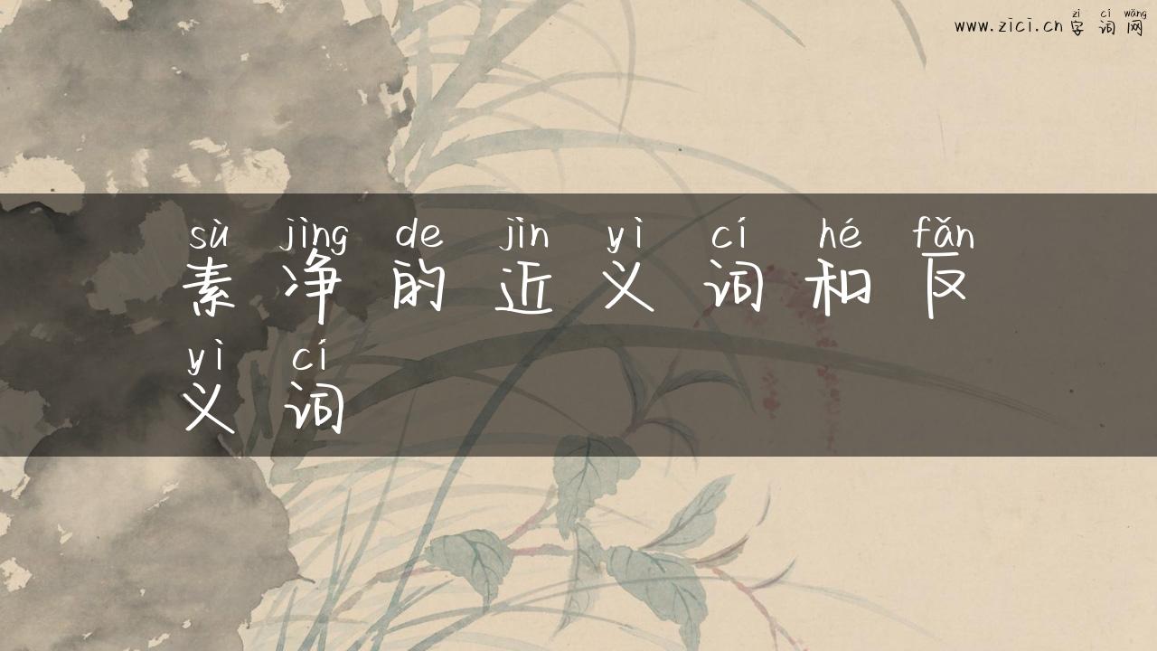 素净的近义词和反义词