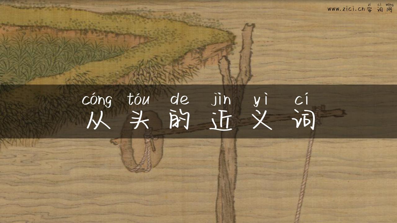 从头的近义词