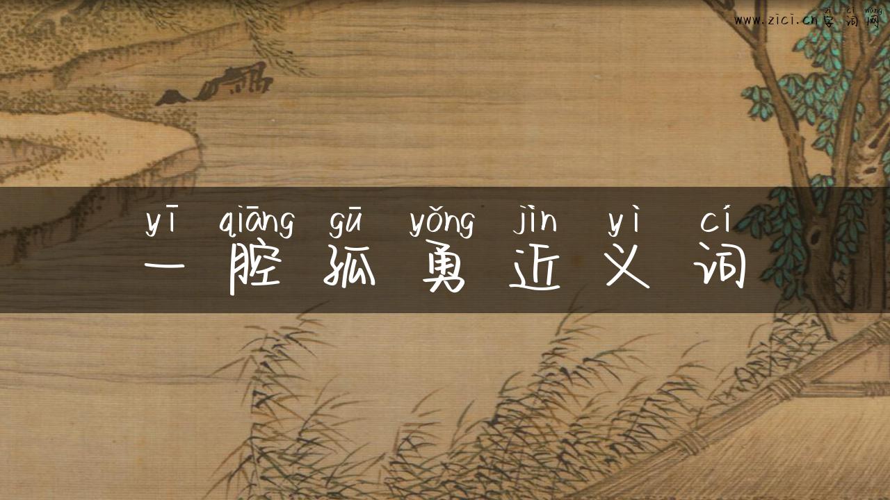 一腔孤勇近义词