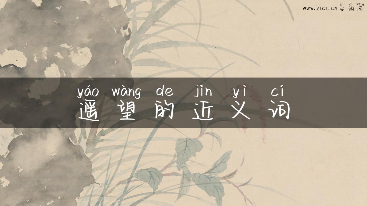 遥望的近义词