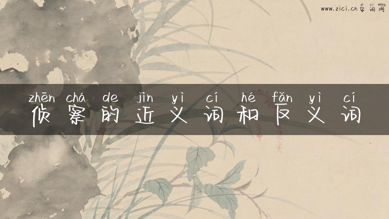侦察的近义词和反义词
