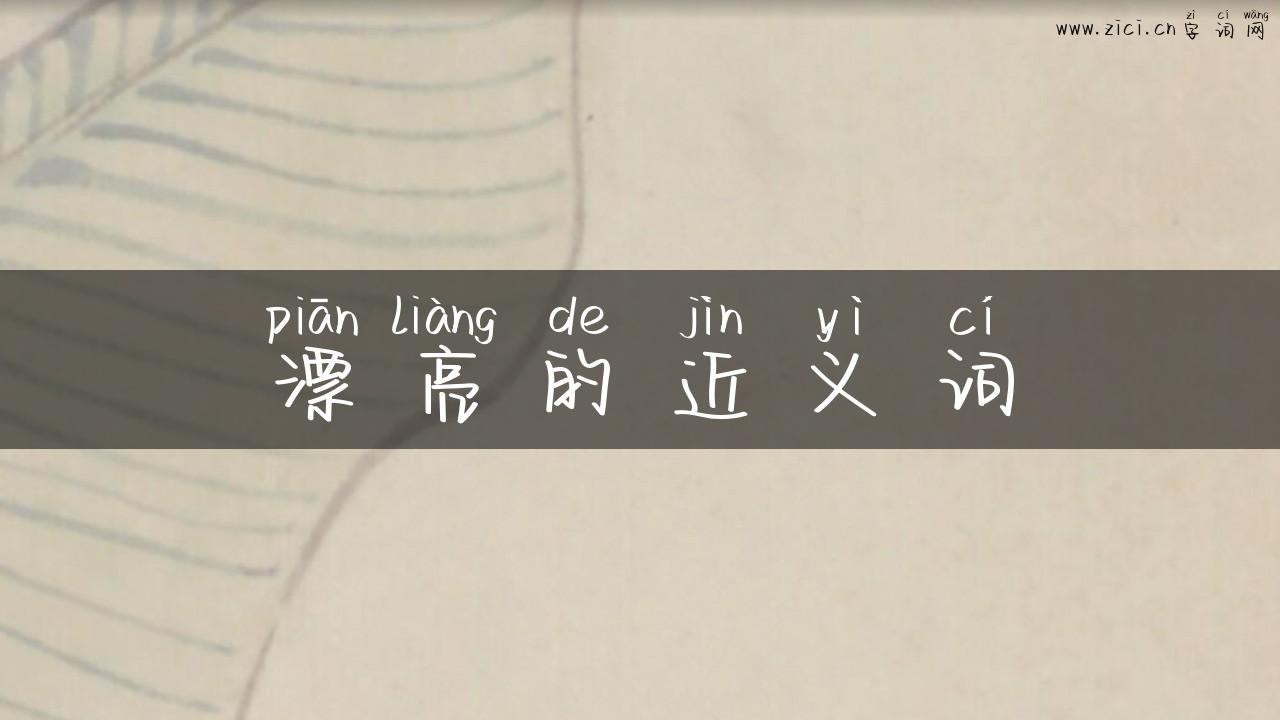 漂亮的近义词