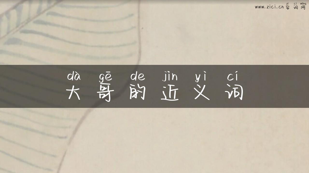 大哥的近义词