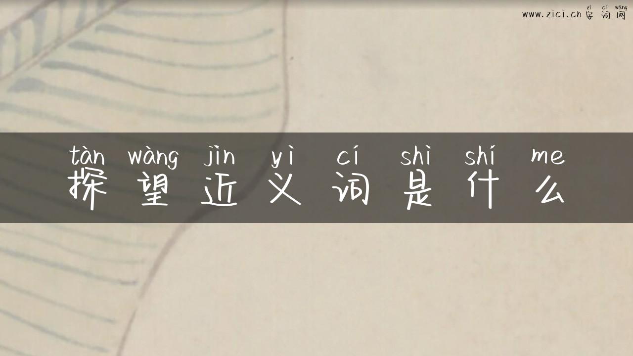 探望近义词是什么