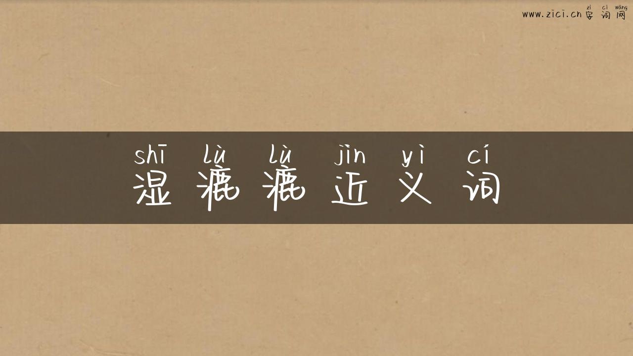 湿漉漉近义词