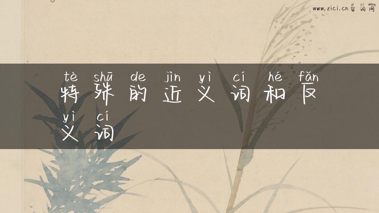 特殊的近义词和反义词
