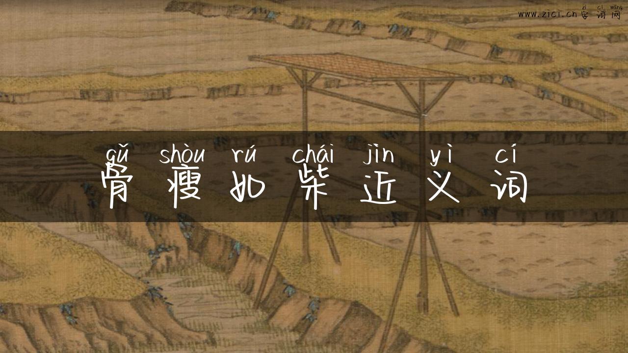 骨瘦如柴近义词