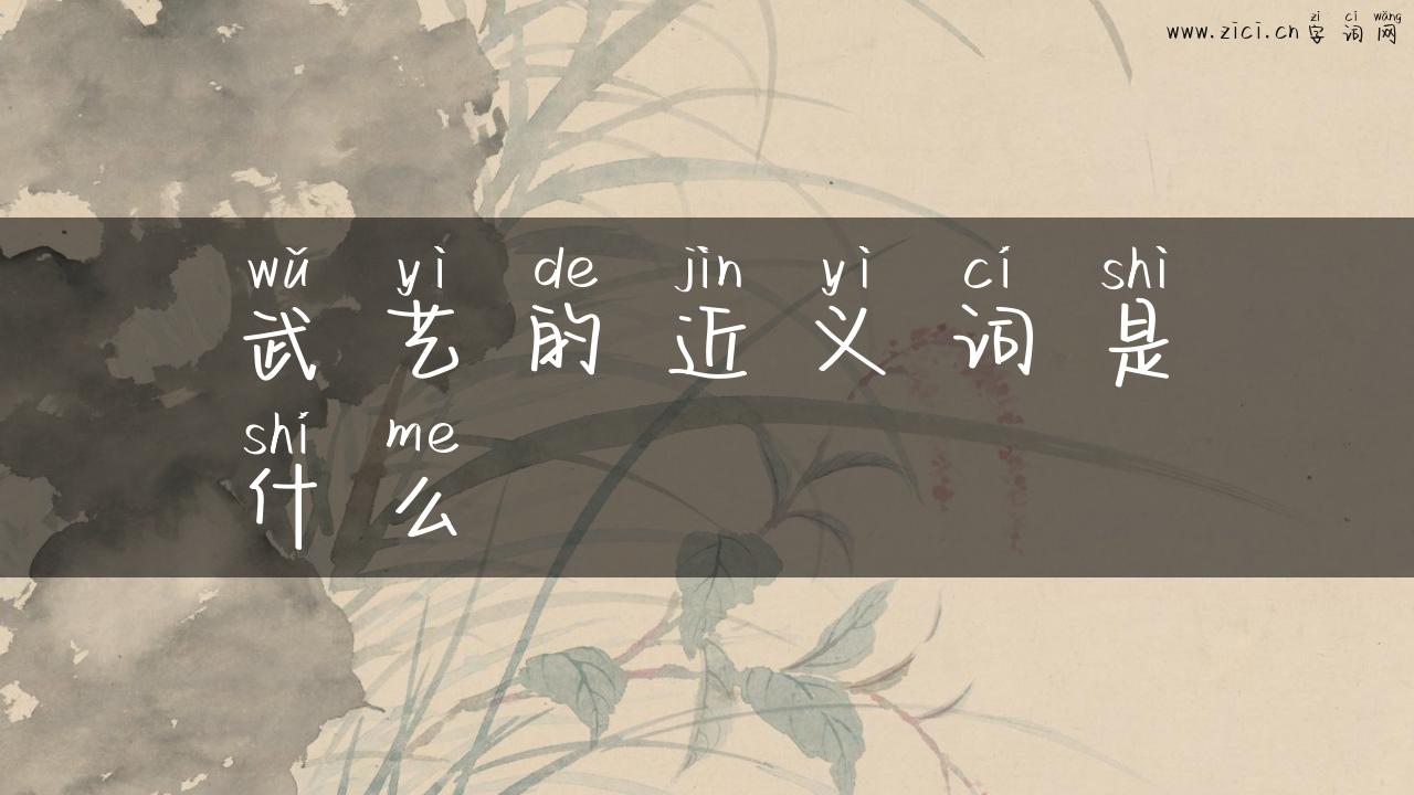 武艺的近义词是什么