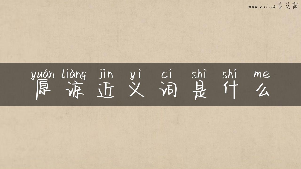 原谅近义词是什么