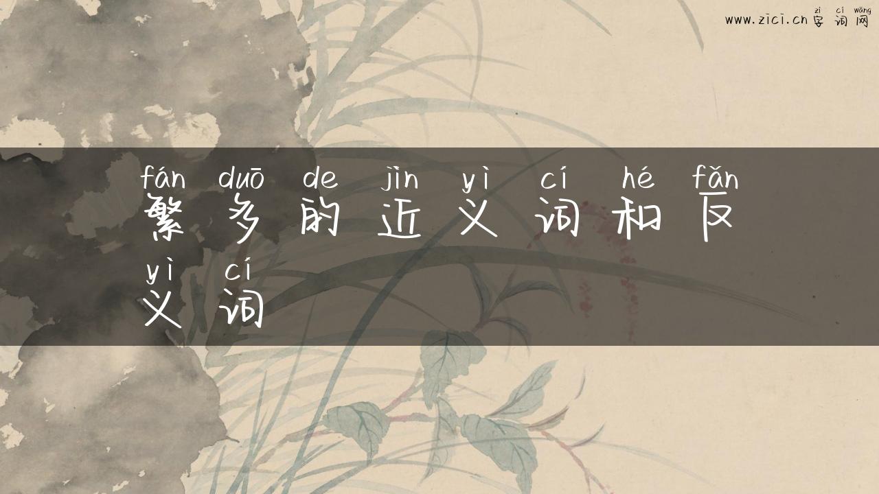 繁多的近义词和反义词