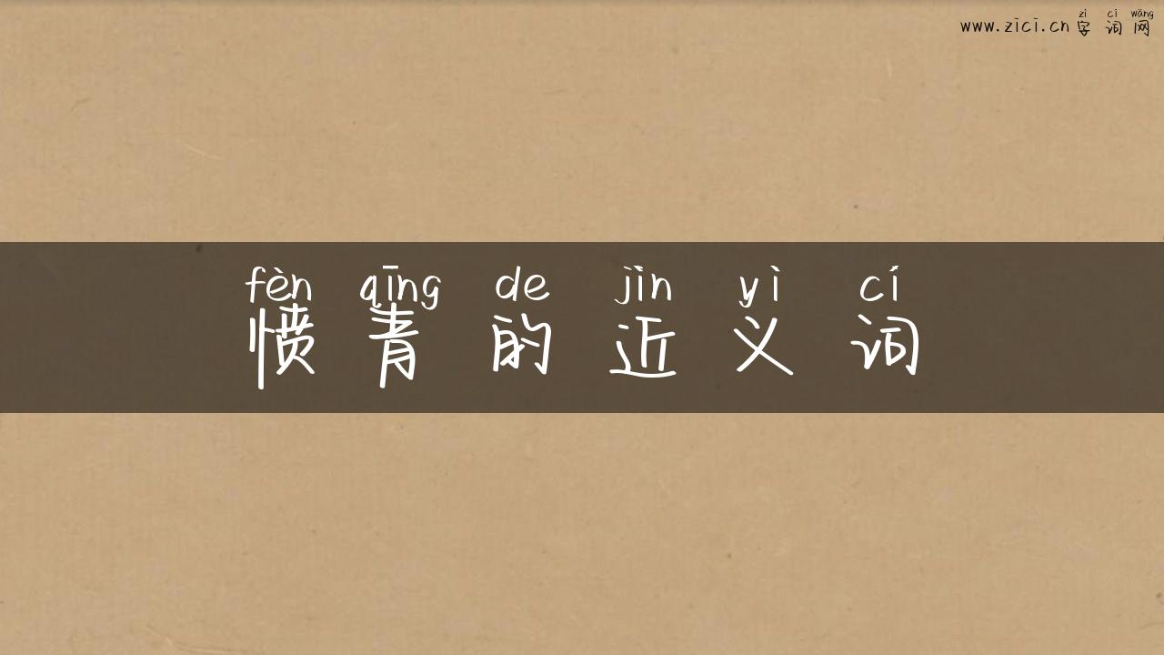 愤青的近义词