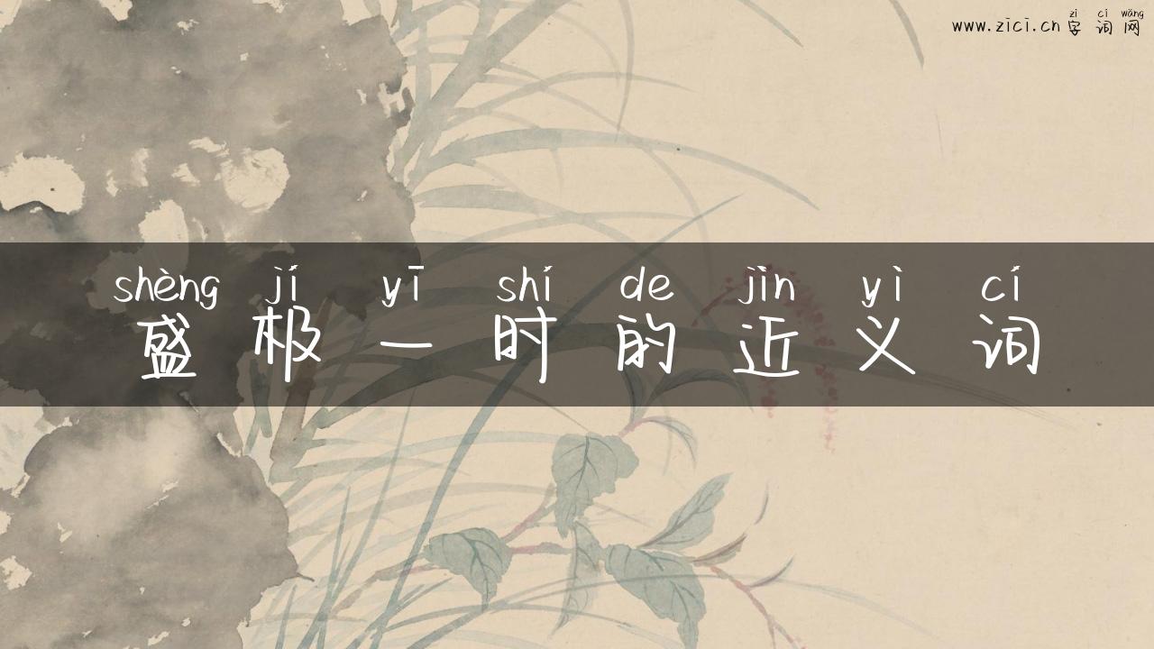 盛极一时的近义词