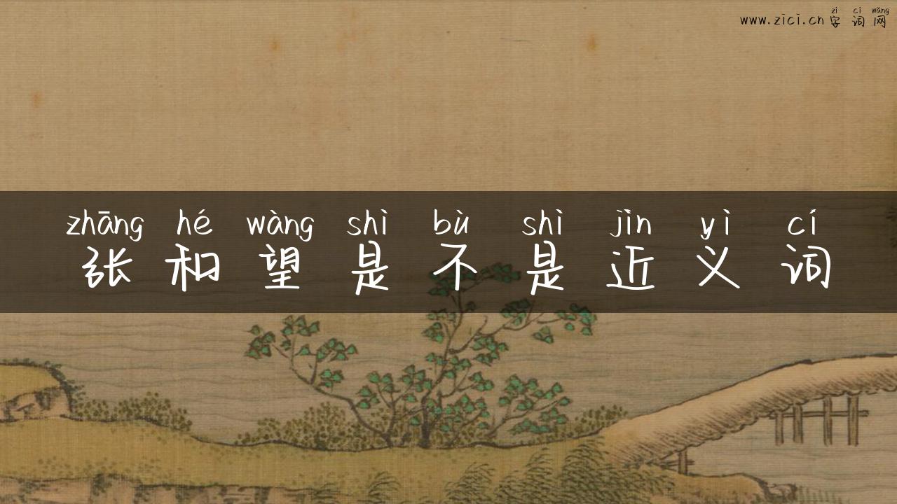 张和望是不是近义词