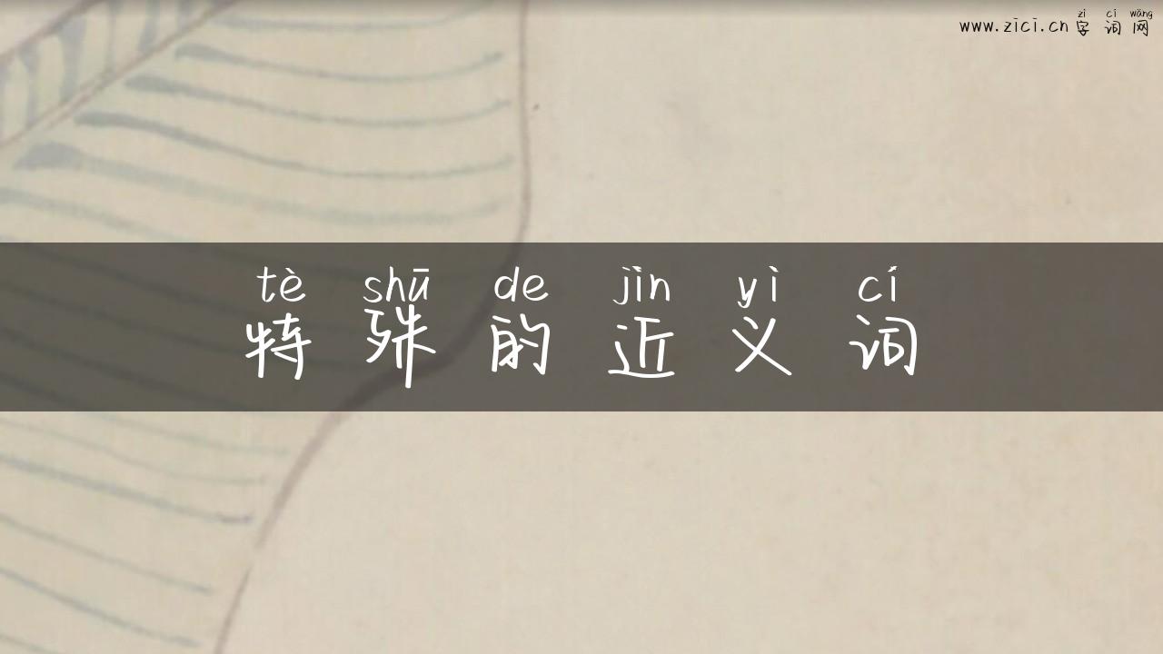 特殊的近义词
