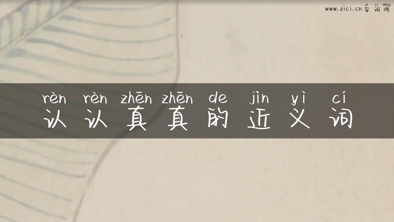 认认真真的近义词