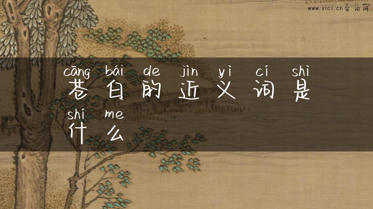 苍白的近义词是什么