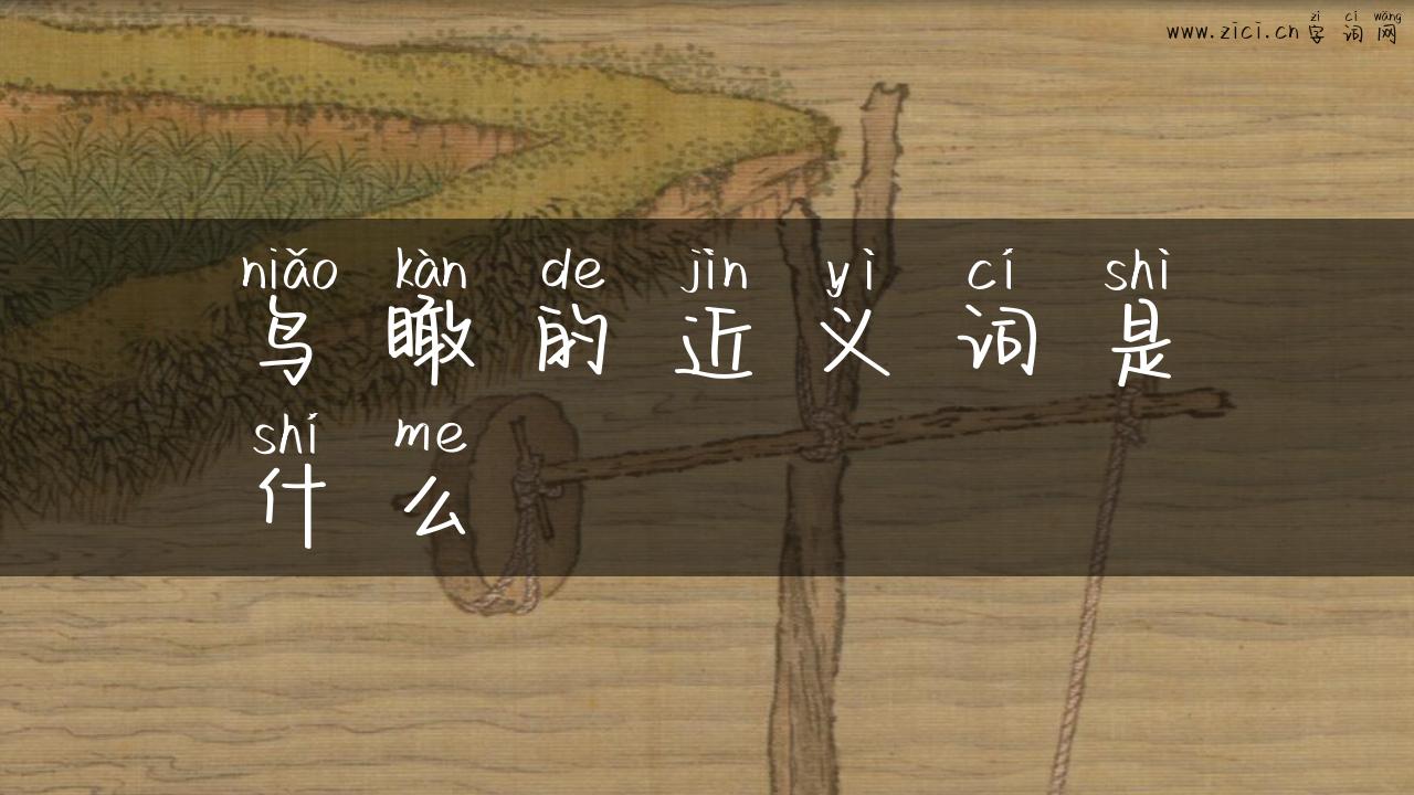 鸟瞰的近义词是什么