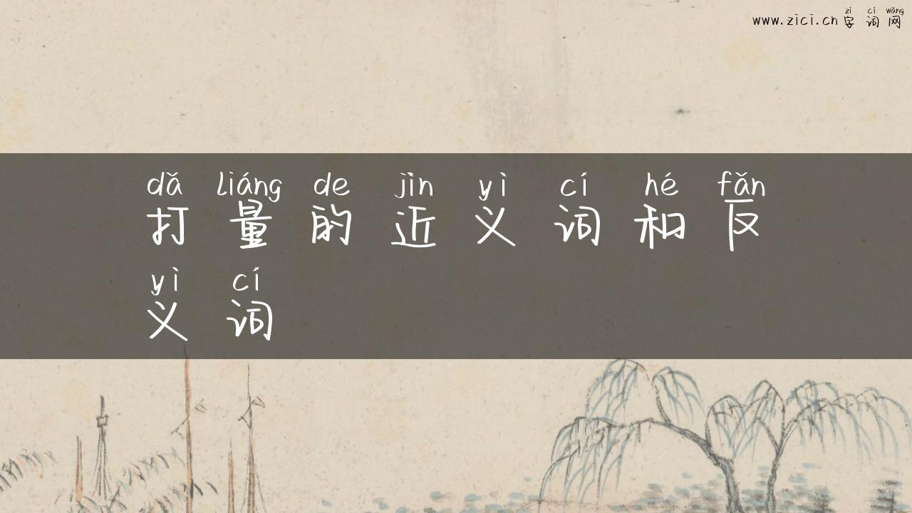 打量的近义词和反义词