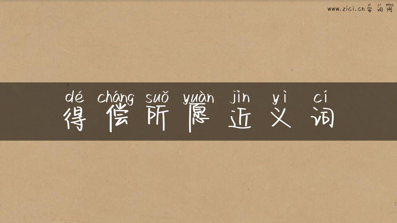 得偿所愿近义词