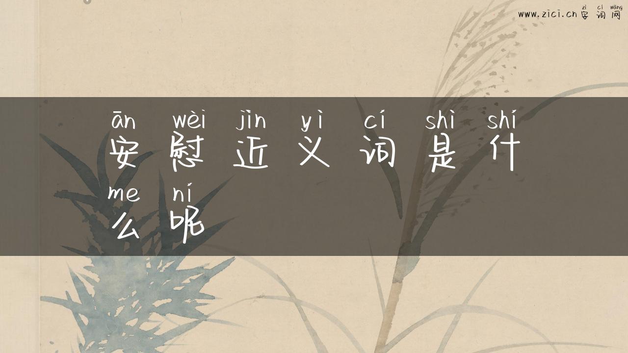 安慰近义词是什么呢