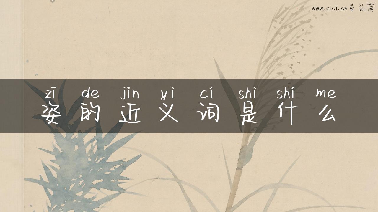 姿的近义词是什么