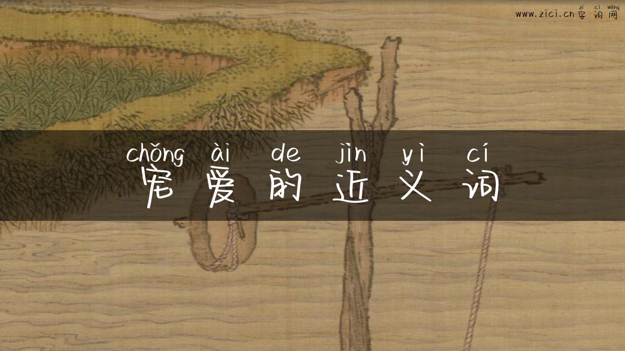 宠爱的近义词