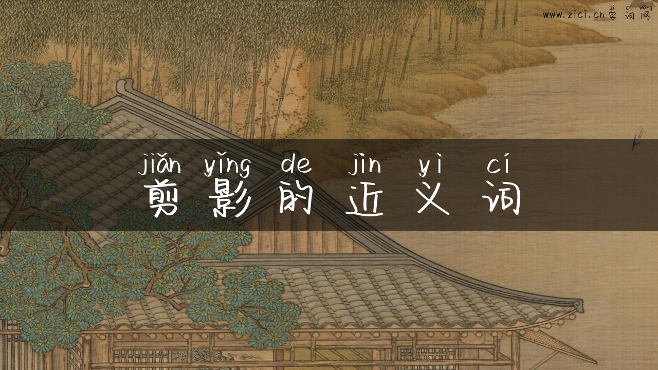 剪影的近义词