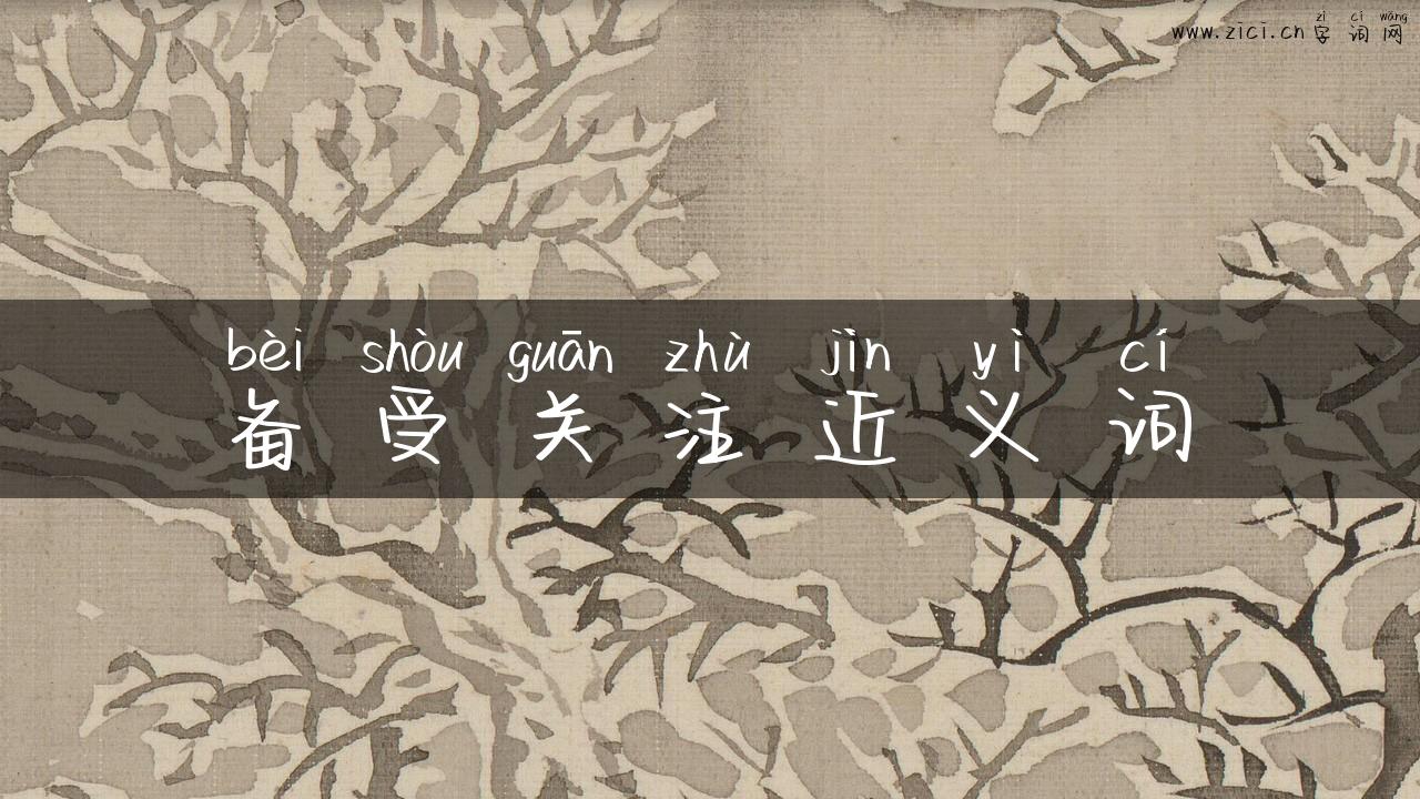 备受关注近义词