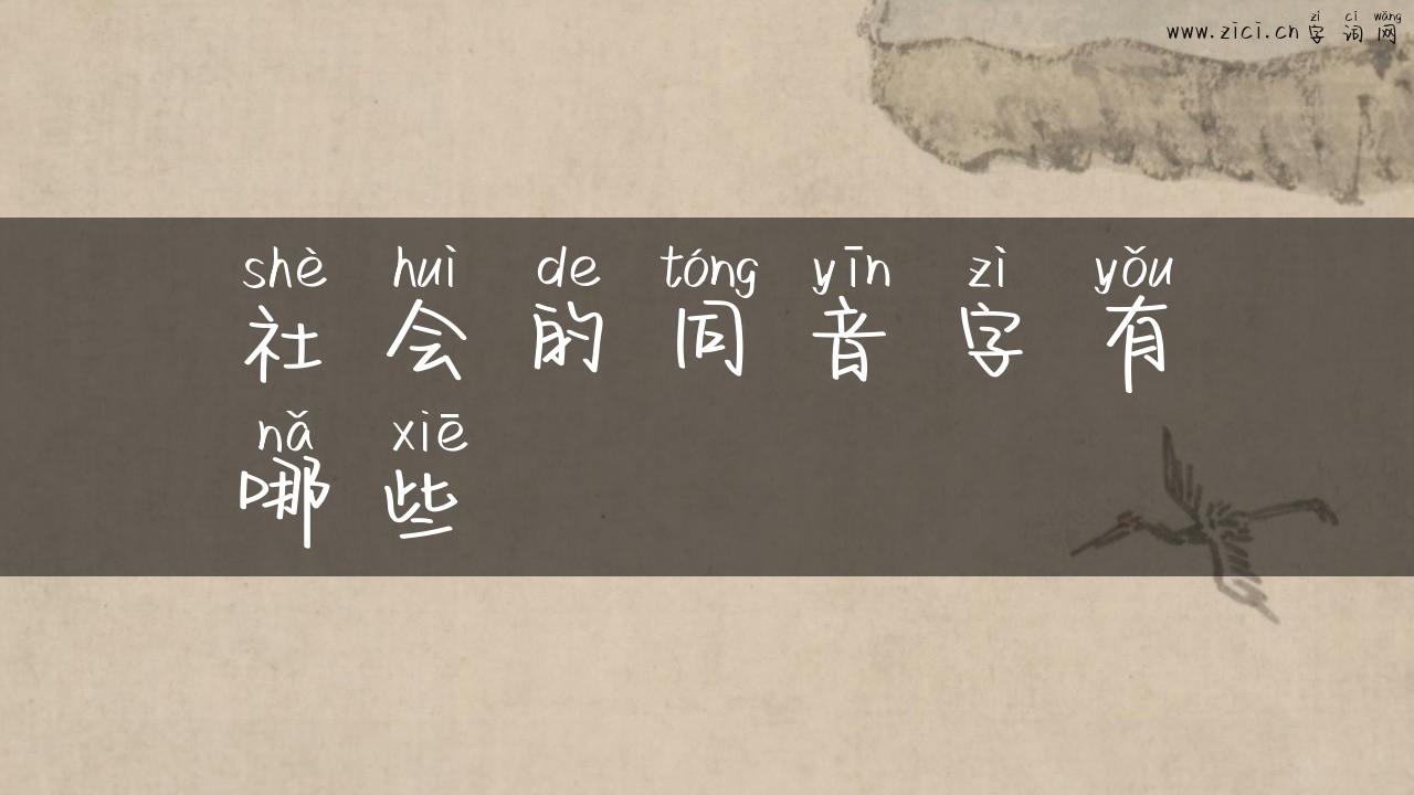 社会的同音字有哪些