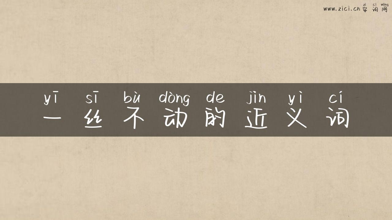 一丝不动的近义词