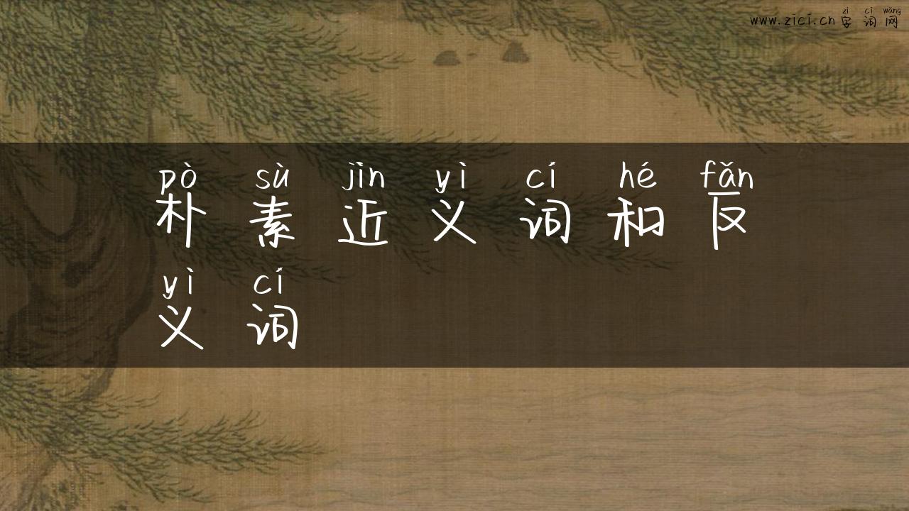 朴素近义词和反义词