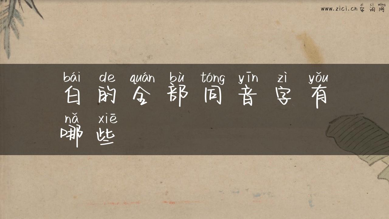 白的全部同音字有哪些