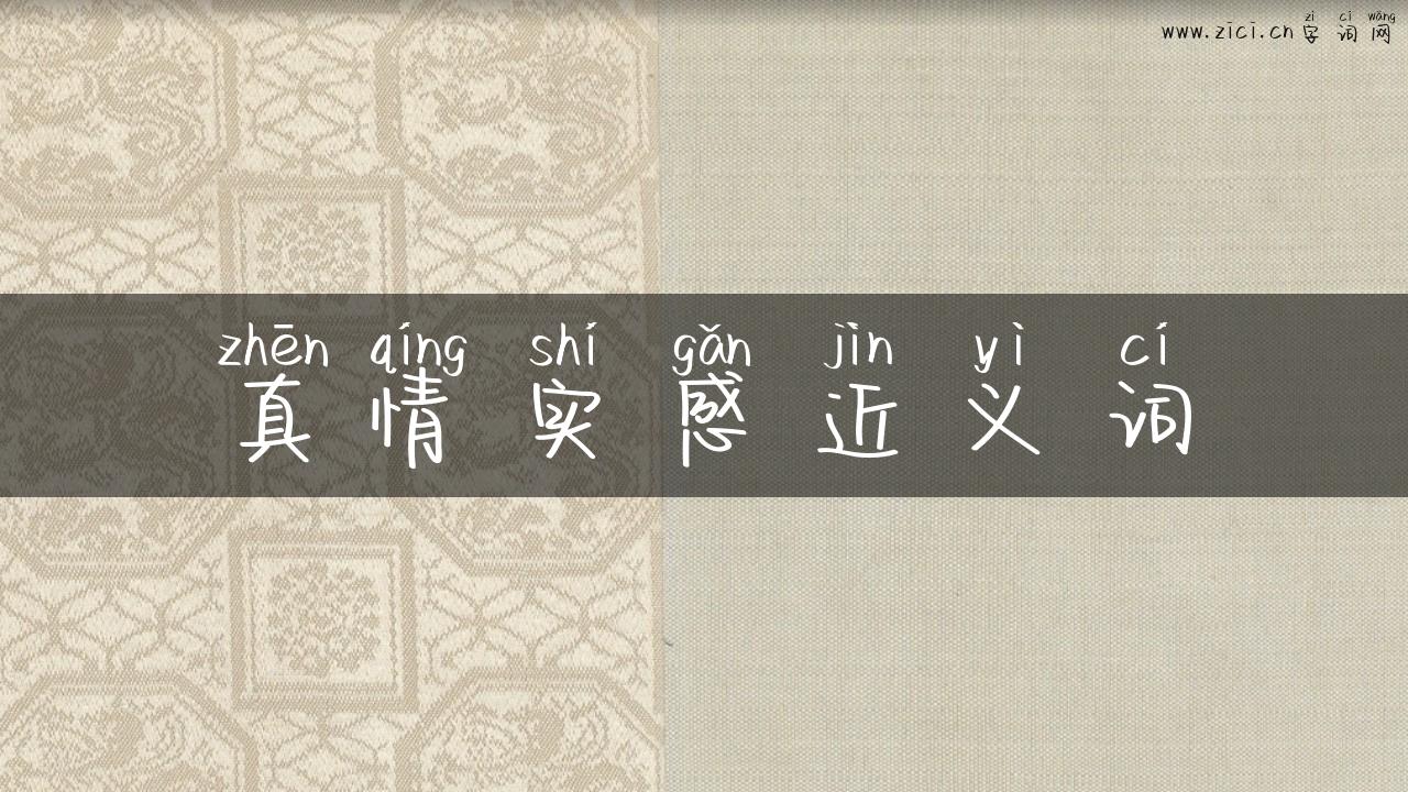 真情实感近义词