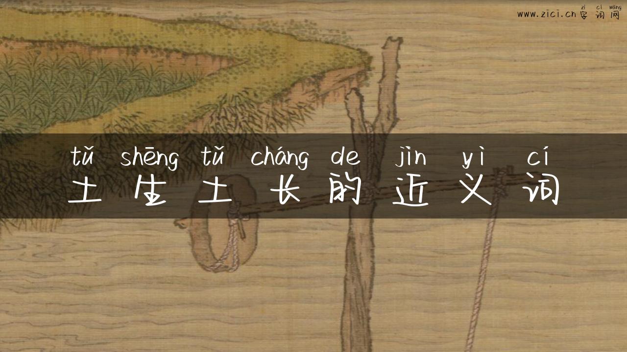 土生土长的近义词