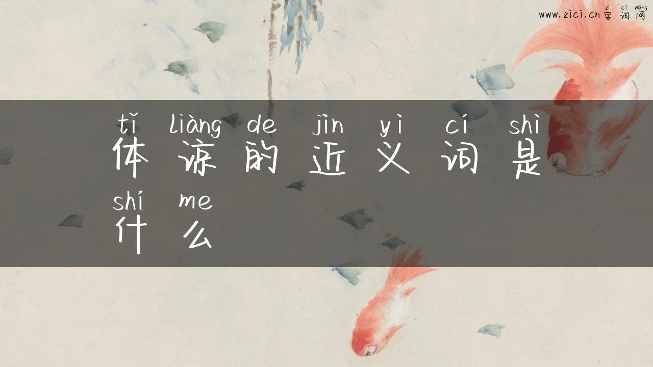 体谅的近义词是什么