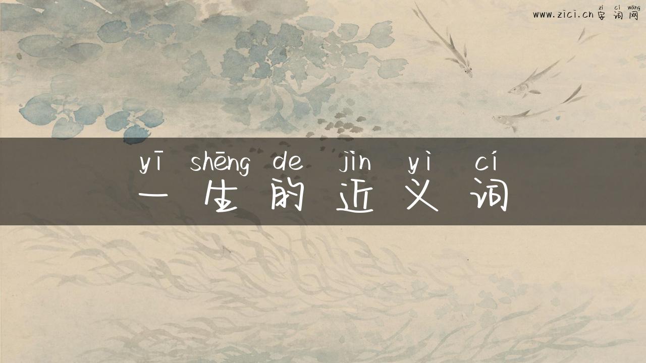 一生的近义词