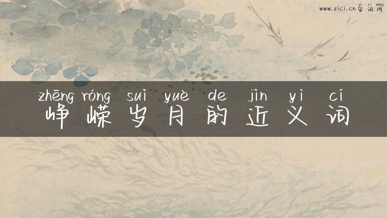 峥嵘岁月的近义词