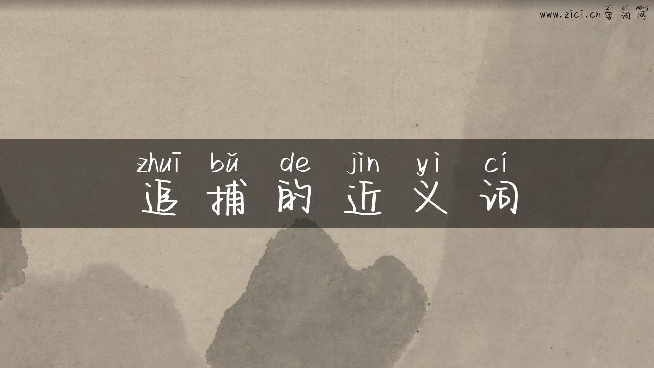 追捕的近义词