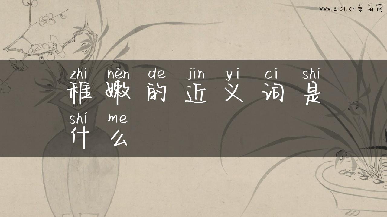 稚嫩的近义词是什么