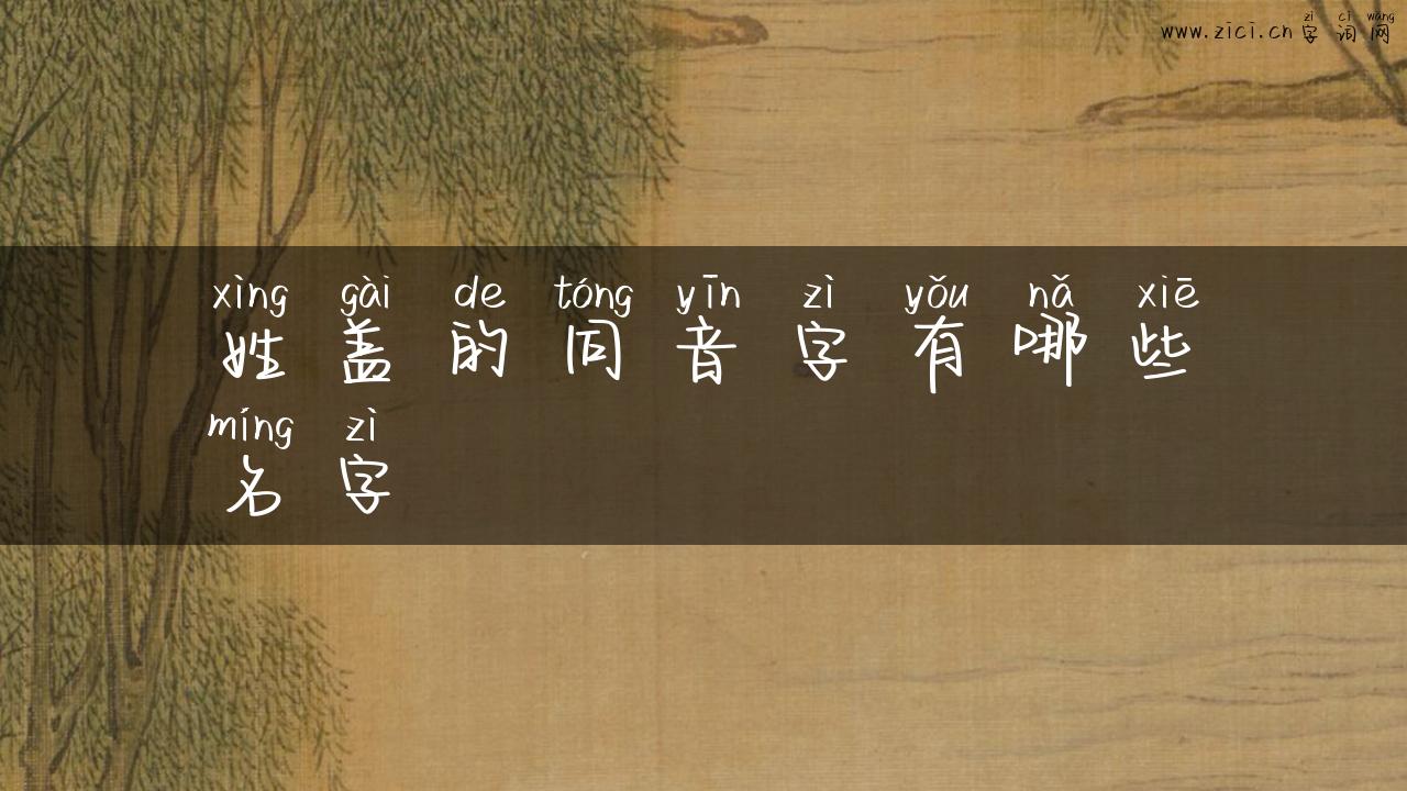 姓盖的同音字有哪些名字