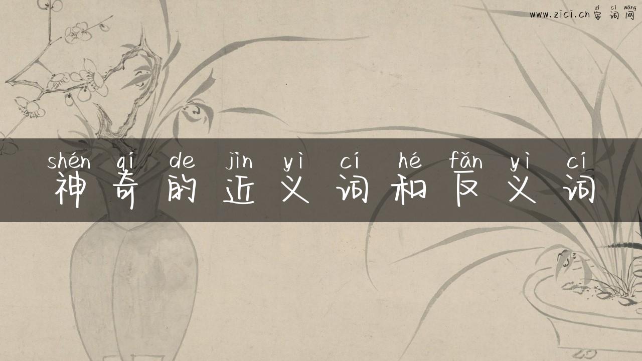 神奇的近义词和反义词