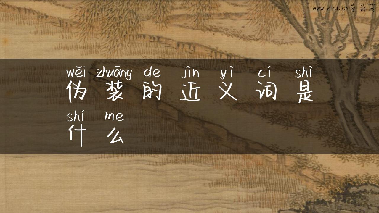 伪装的近义词是什么